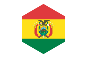 Bolivian Flag Hexagon Shape flag
