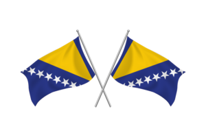Bosnia and Herzegovina Waving Friendship Flag flag