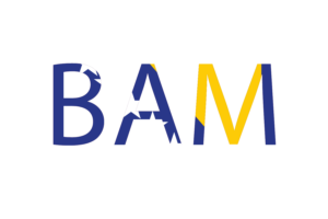 Bosnia and Herzegovina flag