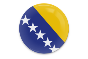Bosnia and Herzegovina Flag Vector Art flag