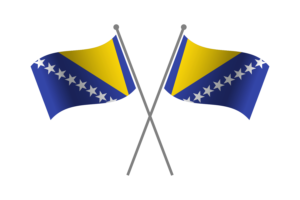 Bosnia and Herzegovina Friendship Flag flag