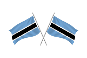 Botswana Waving Friendship Flag flag