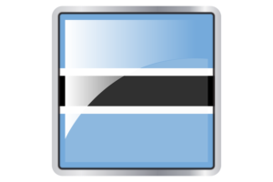 Botswana Flag Square icon flag