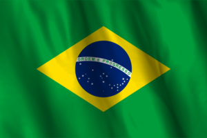 National Flag of Brazil flag