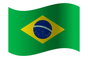 Republic of Brazil Flag flag