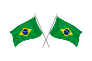 Brazil Waving Friendship Flag flag