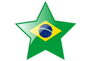 Brazil Flag Star Icon flag
