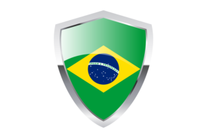 Brazil Flag with Pointed Triangular Shield flag