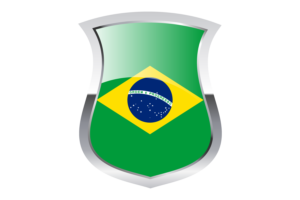 Brazil Pride Flag flag