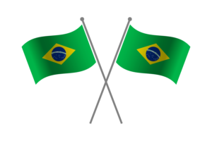 Brazil Friendship Flag flag