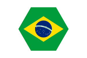 Brazil Flag Vector Free | SVG and PNG flag