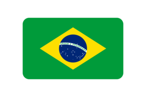 Brazil Flag Triangle Rounded Shape flag