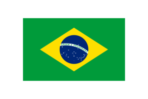 Brazil Flag Triangle Vector Illustration flag