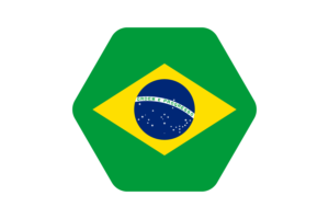 Brazil Flag Vector Illustration flag