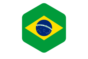 Brazil Flag Rounded Hexagon Shape flag