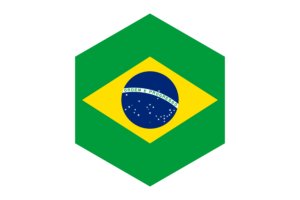 Brazil Flag Hexagon Shape flag