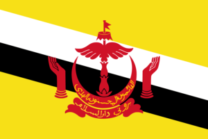 Flag of Brunei flag