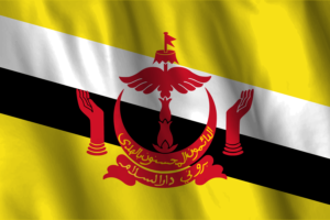 National Flag of Brunei flag