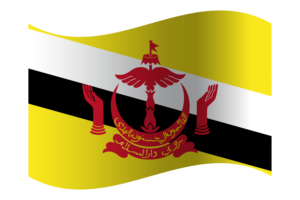 Nation of Brunei Flag flag