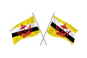 Brunei Waving Friendship Flag flag