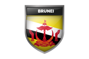 Brunei Flag flag