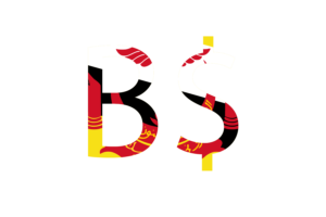 Brunei Currency icon flag