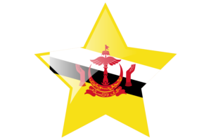 Brunei Flag Star Icon flag