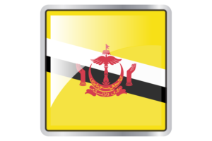 Brunei Flag Square icon flag