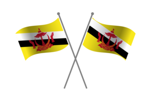 Brunei Friendship Flag flag