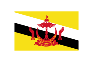 Brunei Flag Triangle Vector Illustration flag