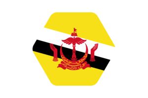 Brunei Flag Vector Illustration flag
