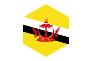 Brunei Flag Hexagon Shape flag