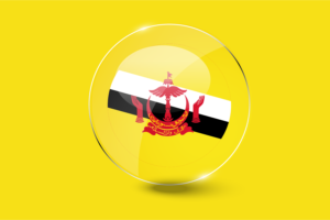 Brunei Flag Glossy Round Button flag