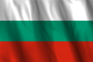 National Flag of Bulgaria flag