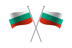 Bulgaria Friendship Flag flag