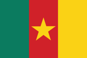 Flag of Cameroon flag