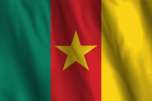 National Flag of Cameroon flag