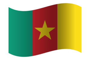 Republic of Cameroon flag