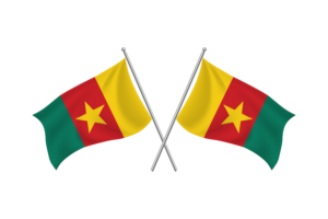 Cameroon Waving Friendship Flag flag