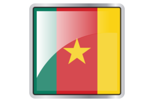 Cameroon Flag Square icon flag