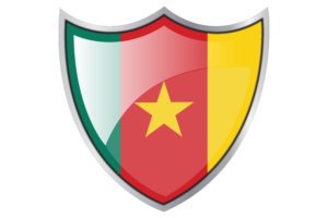 Shield with Flag of Cameroon flag