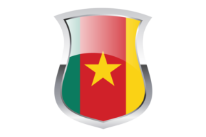 Cameroon Pride Flag flag