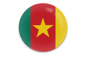 Cameroon Flag Vector Art flag