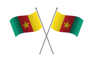 Cameroon Friendship Flag flag