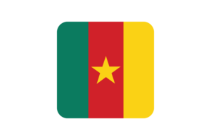 Cameroon Flag Square Rounded Shape flag