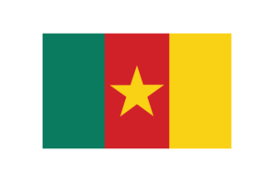 Cameroon Flag Triangle Vector Illustration flag