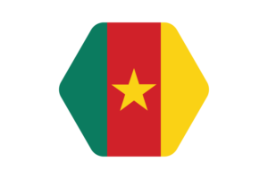 Cameroon Flag Vector Illustration flag
