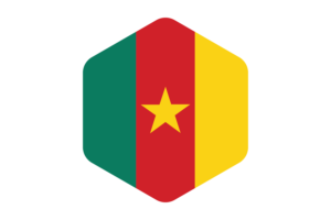 Cameroon Flag Rounded Hexagon Shape flag