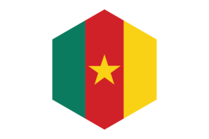 Cameroon Flag Hexagon Shape flag
