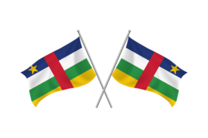 Central African Waving Friendship Flag flag
